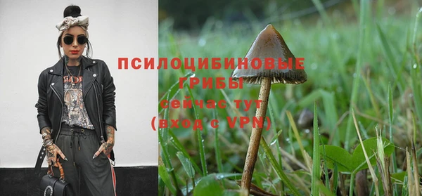 MDMA Premium VHQ Новозыбков