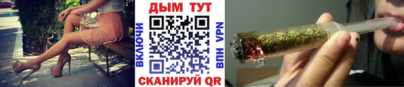 Канабис OG Kush  Подпорожье 
